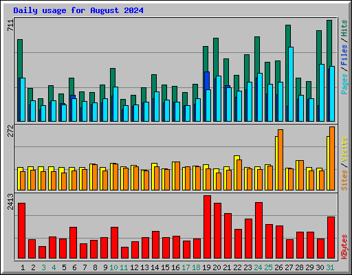 Daily usage for August 2024