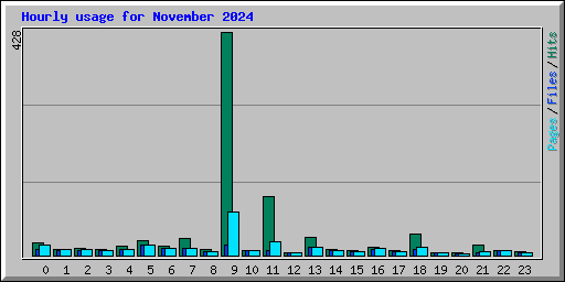 Hourly usage for November 2024